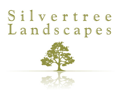 silvertreelandscapes